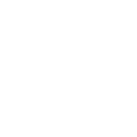 Reflex Logo